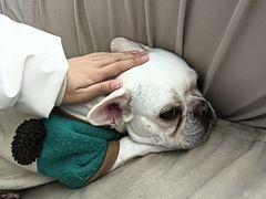 -怪兽屋·羊驼·猫咖·狗咖(俊华广场店)