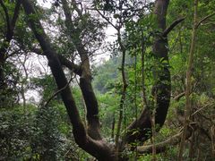 -牛鱼嘴原始生态风景区