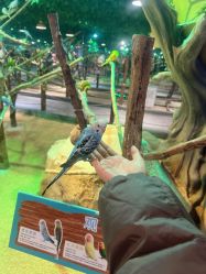 点击看大图 -酷嗒动物文化乐园(cutezoo西溪乐天城店)