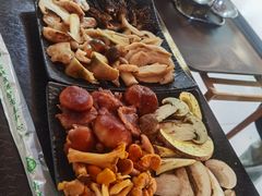 -蘑统田下·野生菌火锅