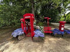 -上海鲜花港