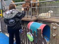 -上海崇明金茂凯悦酒店