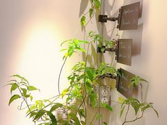 -the fall kaffe乐否咖啡