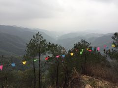 -四明山国家森林公园