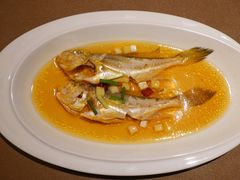 花雕酒蒸梅童-新荣记(西溪湿地店)