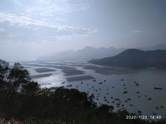 -花竹村
