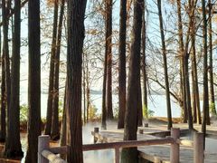 -东湖落雁景区