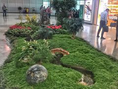 -福州长乐国际机场