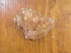 -喜来酌海鲜·饺子(和平一店)