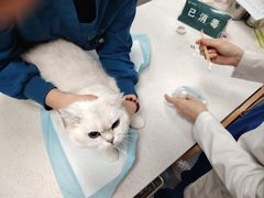 -联合动物医院(光谷诊疗中心)