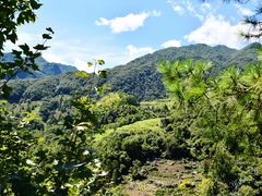 -石台牯牛降景区