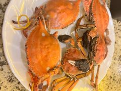 -禾斗海鲜自助(市北诺德店)