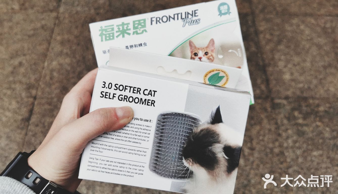 喜欢猫的小伙伴可以私信我领养哦