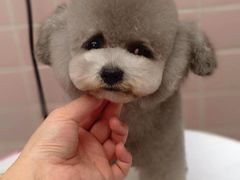 -FAELING PETS美天灵宠物(富力广场店)