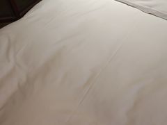 -长鹿旅游休博园