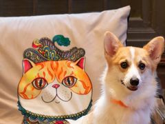 -more than meow吴止猫主题餐厅(承德 中船汇店)