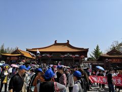 -神州牡丹园