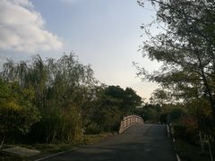 -梁鸿国家湿地公园