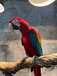 -Zoolung Zoolung动物主题公园(海信广场店)