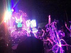 -狮子王庆典