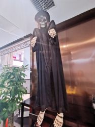 -崇尚GAVIN STYLE臻选