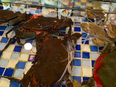 -顺德了能馆(虎门店)