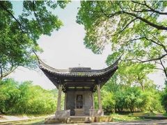 -兰亭风景区