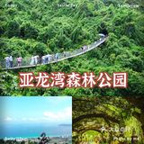 来了三亚，一定要尝试一下地道的三亚美食