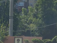 -长沙黑麋峰国家森林公园
