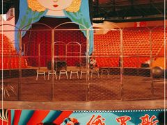 -俄罗斯国家大马戏团