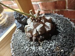 -青木造型HAIR·あおき髪を刈る潮人店