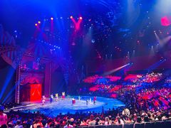 -珠海横琴长隆《卡卡虎奇遇记》