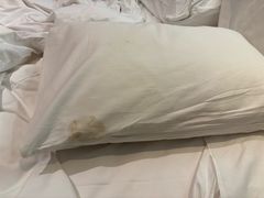 -秦皇岛秦皇国际大酒店