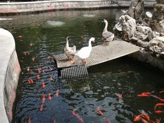 -荣国府