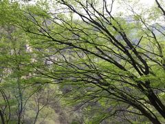 -黑龙潭风景区