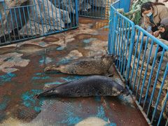 -华夏文旅海洋公园