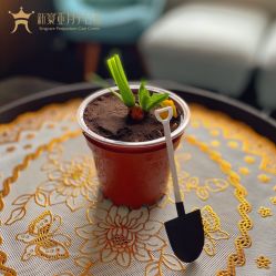 -新寰亚月子会所(金鸡湖凯宾店)