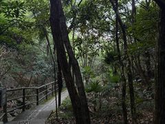 -东天目山风景区