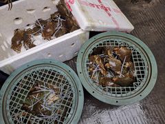 -蛇口市场