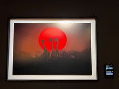 -罗红摄影艺术馆