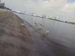 -台场海滨公园船码头