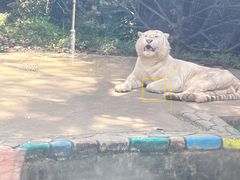-贵州森林野生动物园