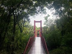 -上海吴淞炮台湾国家湿地公园
