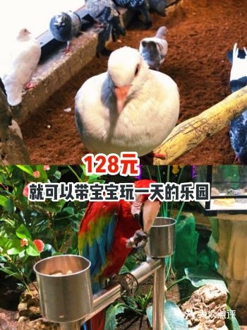 128元就可以带宝宝玩一天的乐园