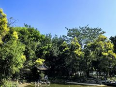 -深圳国际园林花卉博览园