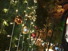 -索菲特西湖大酒店·香榭丽全日候餐厅(南山路店)