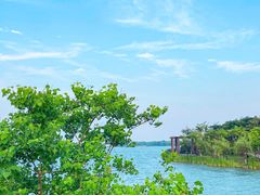 -海宁鹃湖公园