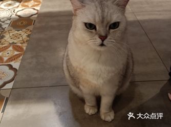 和朋友下午去玩的，进门要穿一次性袜子，要洗手