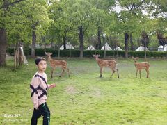 -不觉晓CAMPING(上海迪士尼营地店)