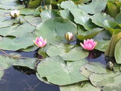 -前关湿地公园